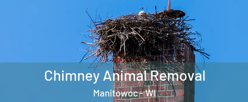  Chimney Animal Removal Manitowoc - WI