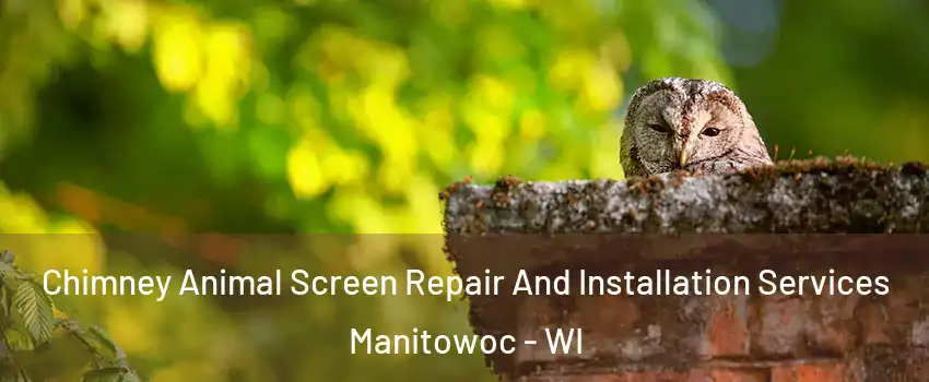  Chimney Animal Screen Repair And Installation Services Manitowoc - WI