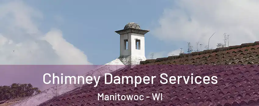  Chimney Damper Services Manitowoc - WI
