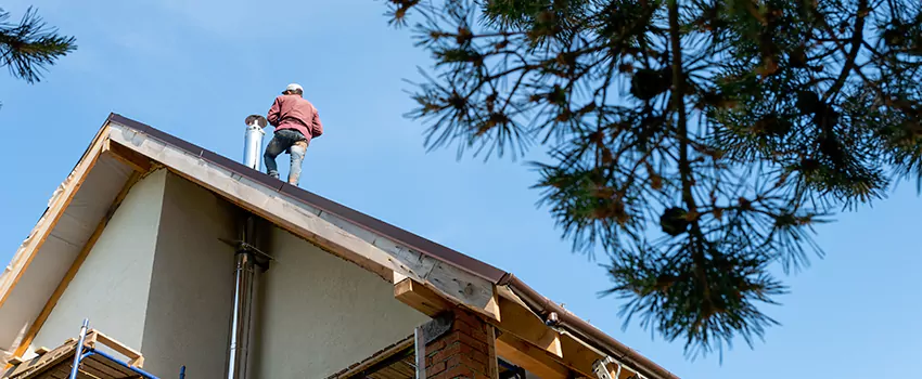 Birds Removal Contractors from Chimney in Manitowoc, WI