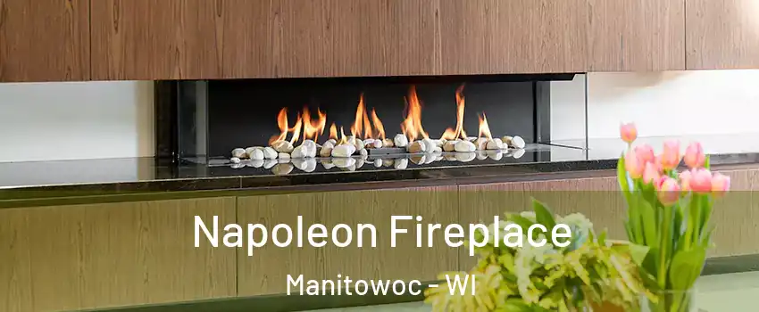  Napoleon Fireplace Manitowoc - WI